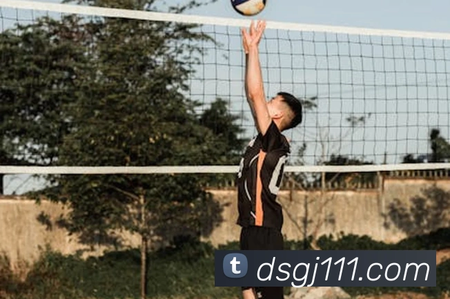APP界面展示